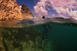 MCZ Ambience 3rd Place - Gannets above and below by James Wright